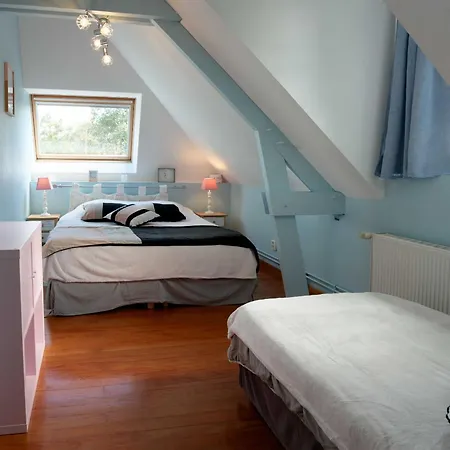 La Charmeuse D'etretat 別荘 *