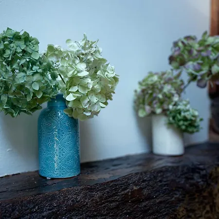 Nyaraló La Charmeuse D'etretat *